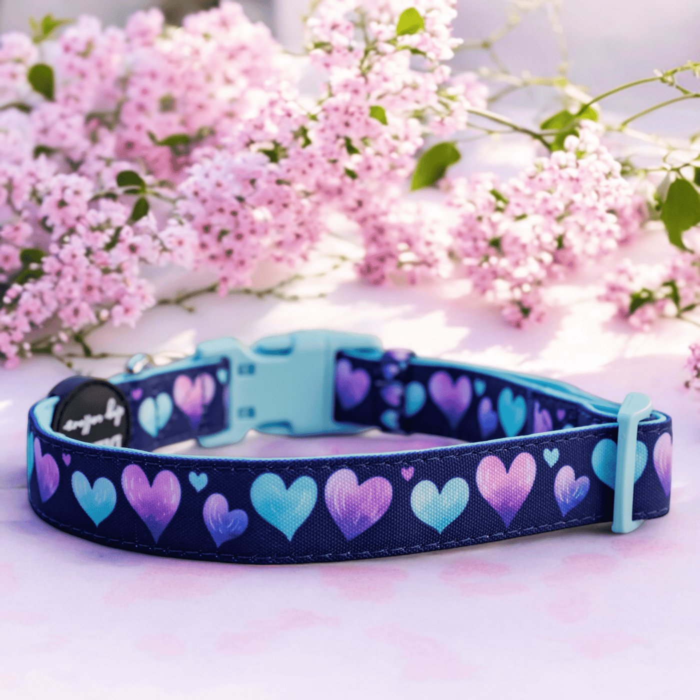 Hearts & Harmony Dog Collar | Canvas + Neoprene Dog Collar