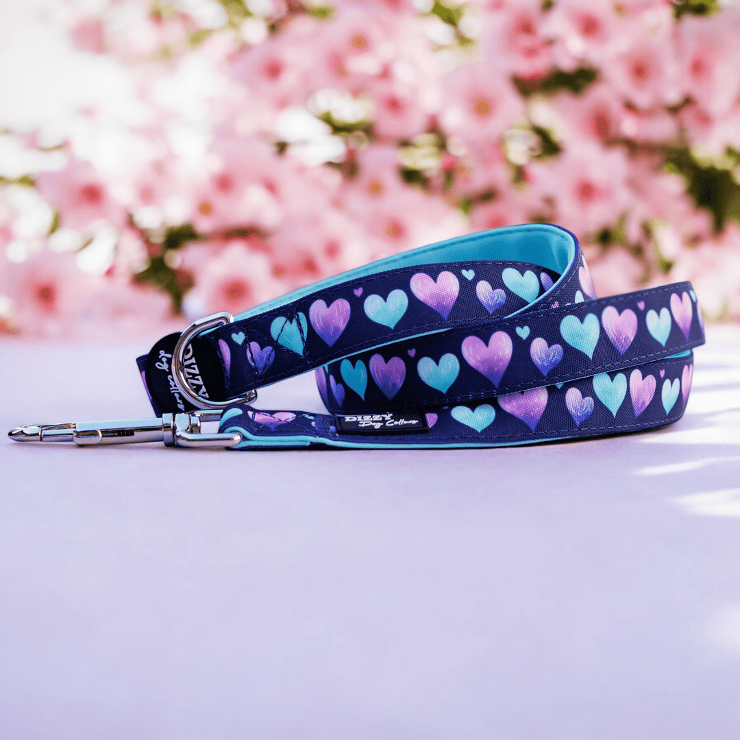 Hearts & Harmony Dog Leash | Canvas + Neoprene Premium Quality Dog Lead