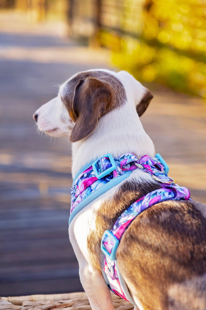 DOG HARNESS - Blossom Rose - Neck Adjustable Harness (Premade)-Harness-Dizzy Dog Collars