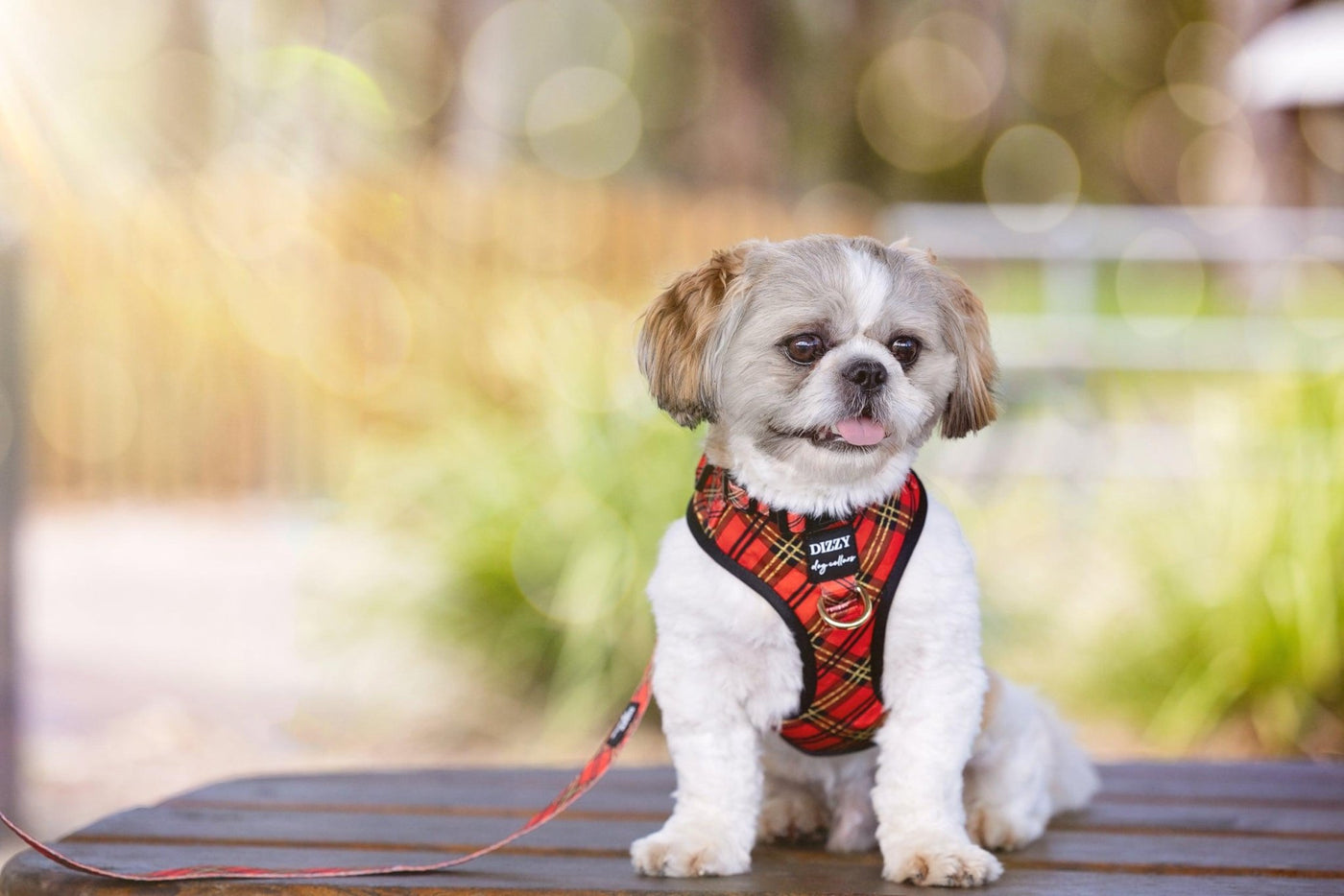 DOG HARNESS | Christmas Plaid | Neck Adjustable Harness-Harness-Dizzy Dog Collars