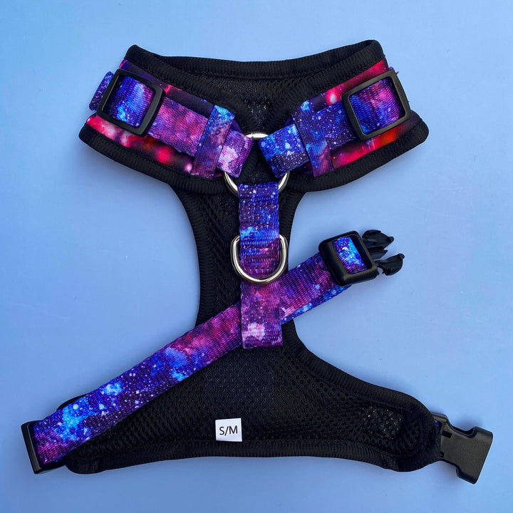 DOG HARNESS - Galaxy - Neck Adjustable Harness-Harness-Dizzy Dog Collars