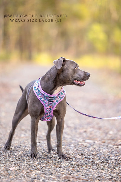 DOG HARNESS | Lilac Floral | Neck Adjustable Dog Harness-Harness-Dizzy Dog Collars