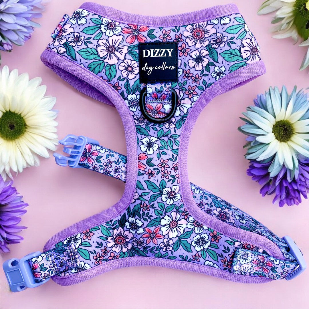 This image features a lilac dog harness adorned with a vibrant floral pattern, showcasing a beautiful mix of white, pink, and blue flowers. The harness is presented on a soft pink background, complemented by white and purple daisies that enhance its spring-like aesthetic. It includes sturdy metal D-ring attachments and adjustable purple buckles for a perfect fit. The Dizzy Dog Collars brand label is prominently displayed, adding a stylish touch.