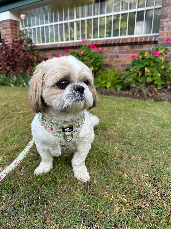 DOG HARNESS | Manuka | Neck Adjustable Dog Harness-Fabric Harness-Dizzy Dog Collars