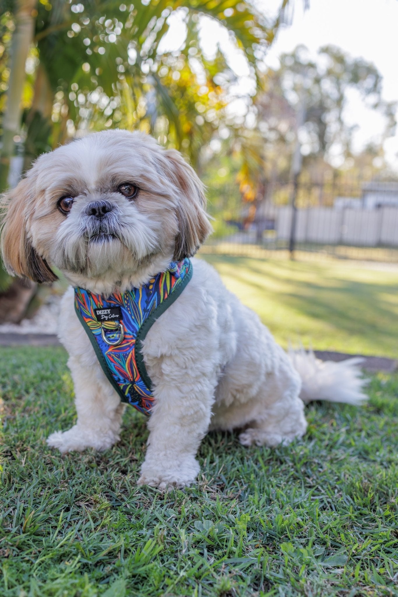 DOG HARNESS | Oasis | Neck Adjustable Dog Harness-Fabric Harness-Dizzy Dog Collars