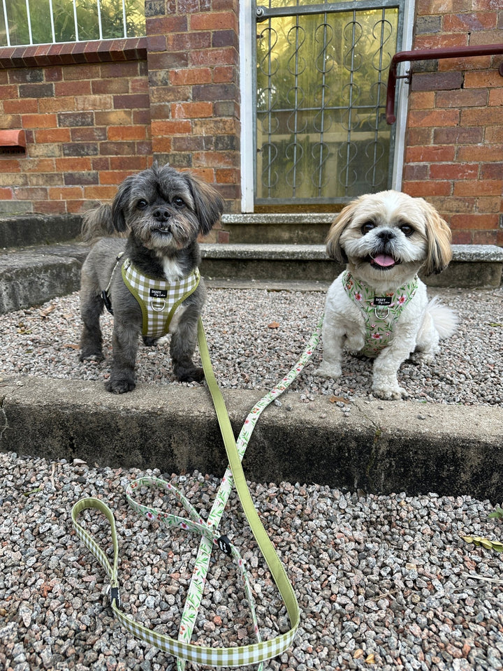 DOG HARNESS | Olive Gingham | Neck Adjustable Dog Harness-Fabric Harness-Dizzy Dog Collars