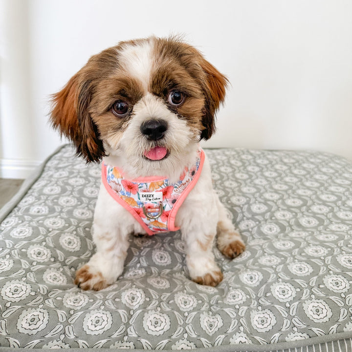 DOG HARNESS | Peachy Posies | Neck Adjustable Dog Harness-Fabric Harness-Dizzy Dog Collars