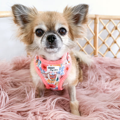 DOG HARNESS | Peachy Posies | Neck Adjustable Dog Harness-Fabric Harness-Dizzy Dog Collars