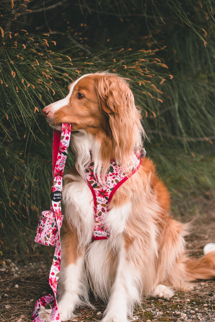 DOG HARNESS | Poinsettia | Christmas Neck Adjustable Dog Harness-Harness-Dizzy Dog Collars