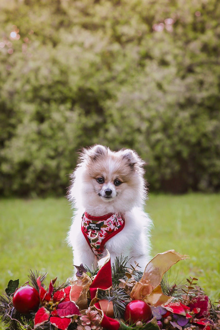 DOG HARNESS | Poinsettia | Christmas Neck Adjustable Dog Harness-Harness-Dizzy Dog Collars