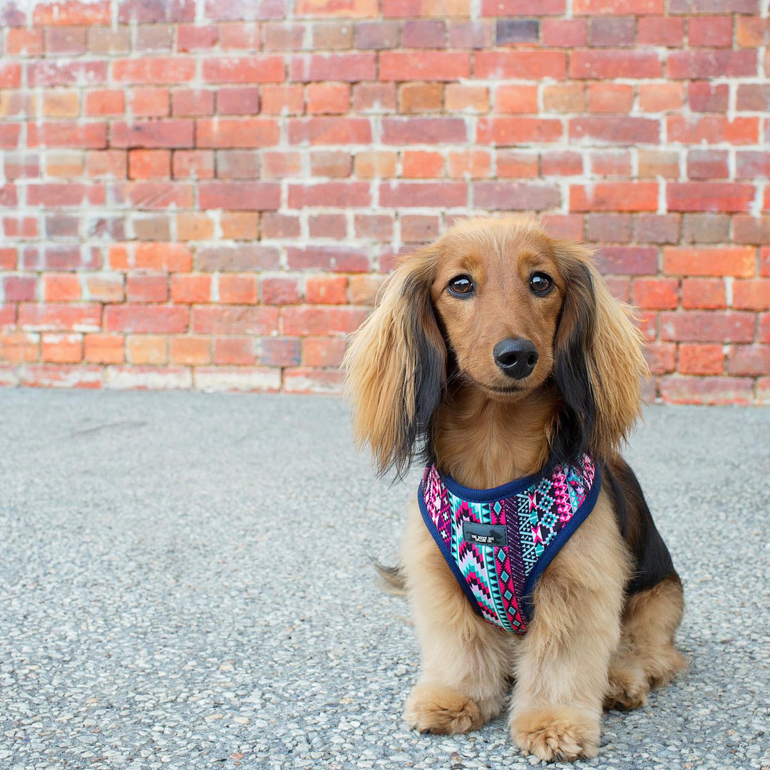 DOG HARNESS - Purple Aztec - Neck Adjustable-Harness-Dizzy Dog Collars