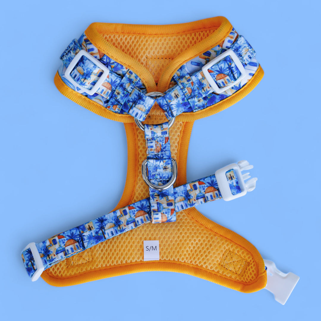 DOG HARNESS | Mediterranean Magic Neck Adjustable Dog Harness