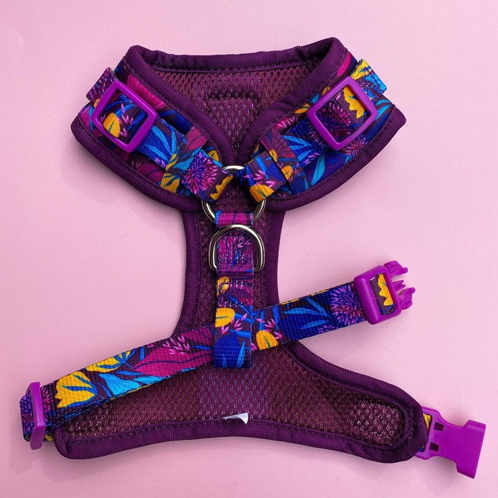 DOG HARNESS -Sapphire Showers, Neck Adjustable Harness-Harness-Dizzy Dog Collars