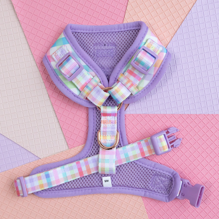 DOG HARNESS | Sherbet Gingham | Neck Adjustable Dog Harness-Harness-Dizzy Dog Collars