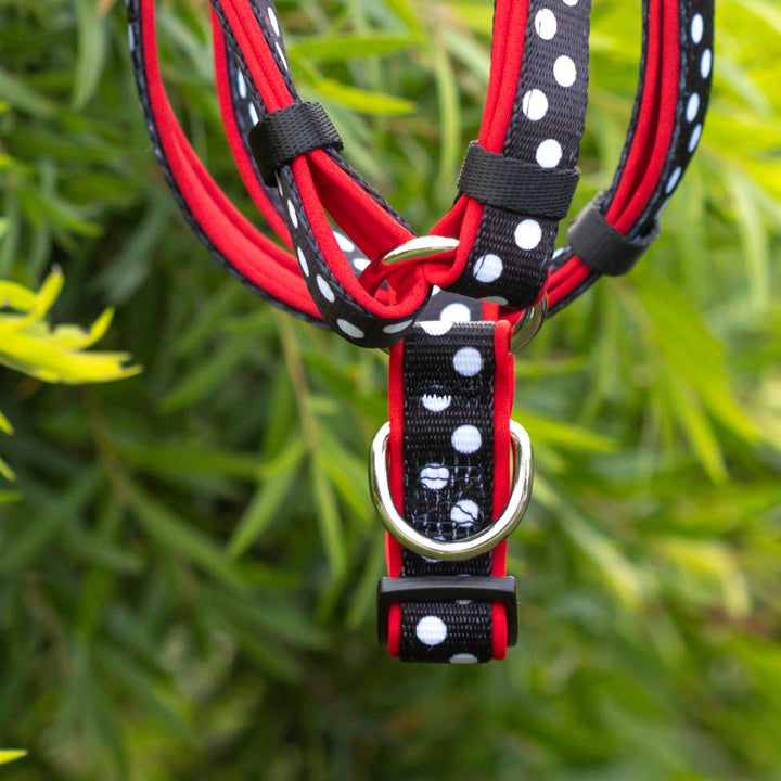 DOG HARNESS, Spotty Dox- Padded H-Harness, With Front & Back Attachment-Harness-Dizzy Dog Collars