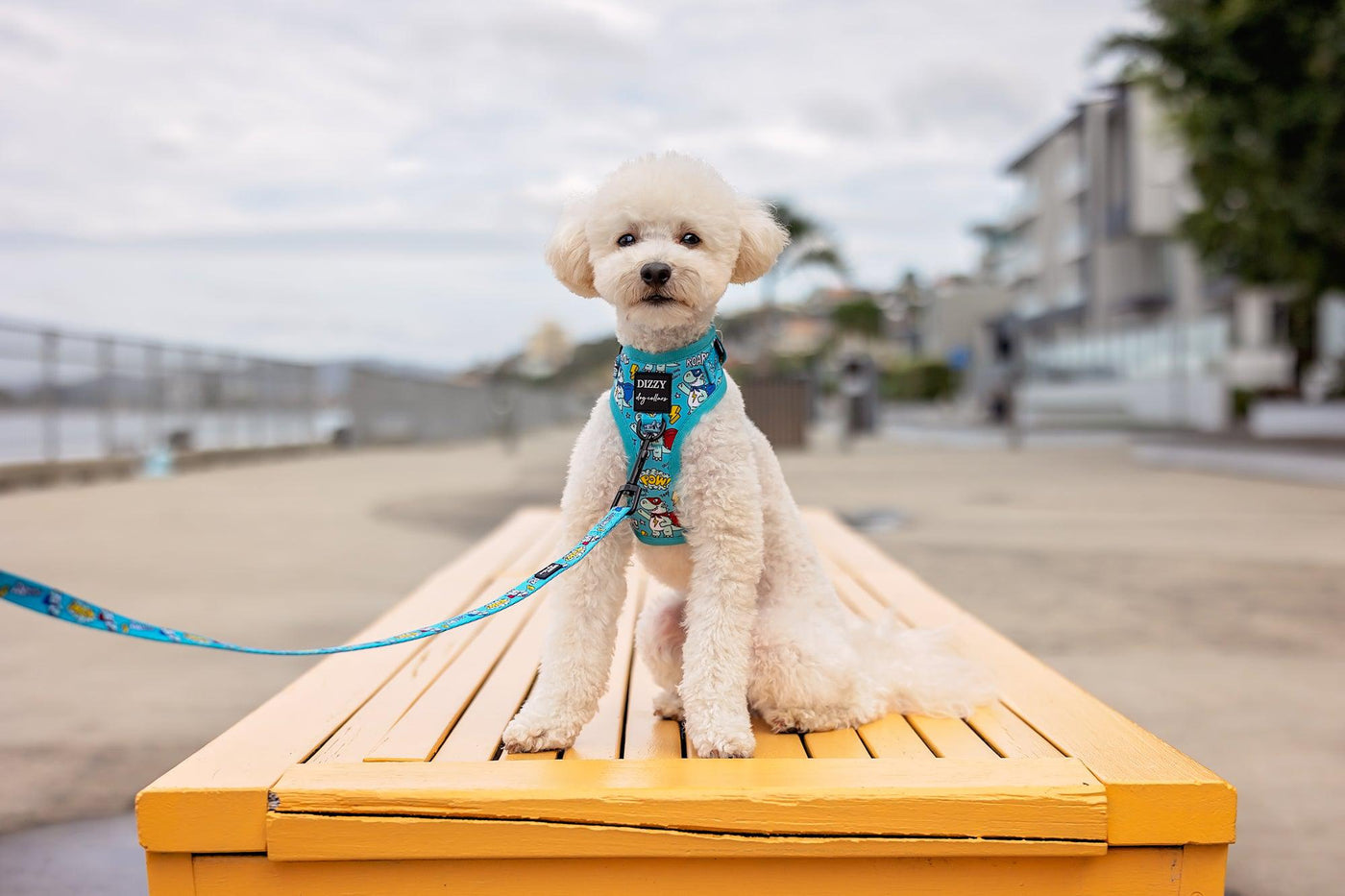 DOG HARNESS | Super Dino | Neck Adjustable Dog Harness-Harness-Dizzy Dog Collars