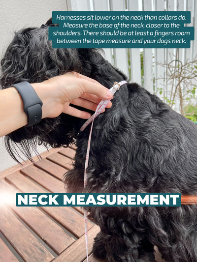 DOG HARNESS | Super Dino | Neck Adjustable Dog Harness-Fabric Harness-Dizzy Dog Collars