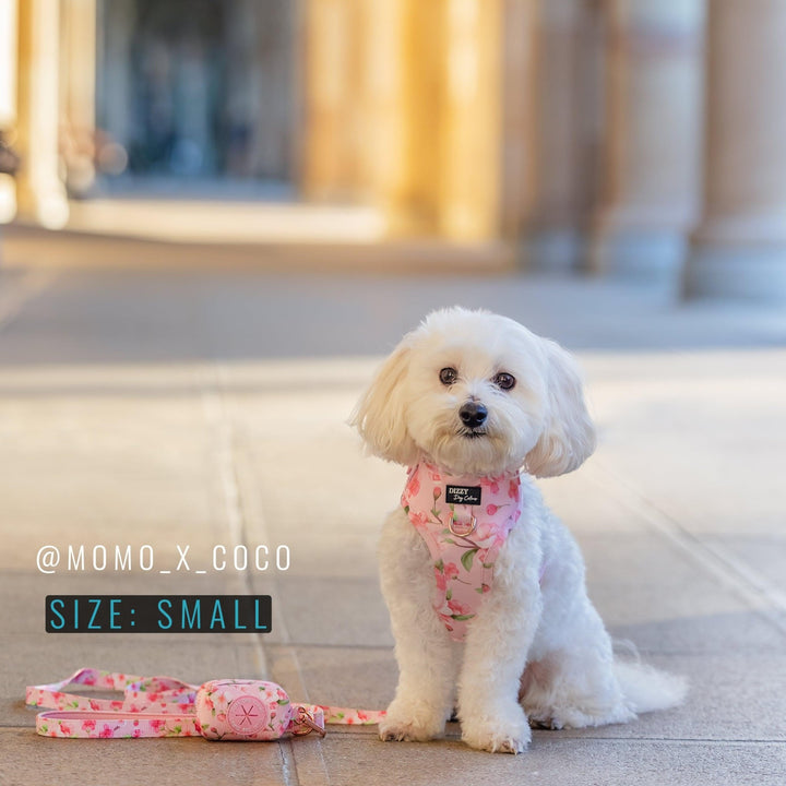 DOG HARNESS | Sweet Sakura | Neck Adjustable Dog Harness-Harness-Dizzy Dog Collars