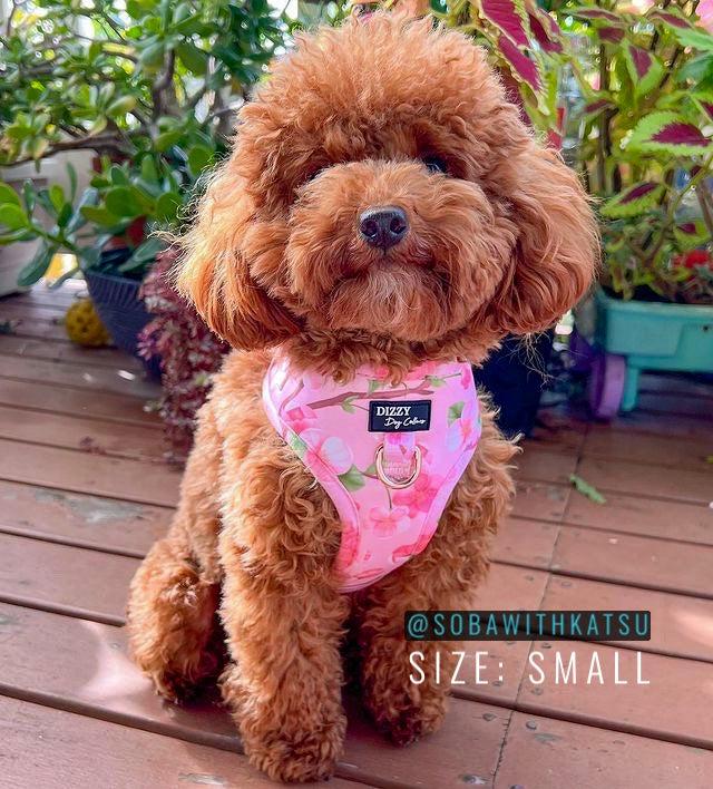 DOG HARNESS | Sweet Sakura | Neck Adjustable Dog Harness-Harness-Dizzy Dog Collars