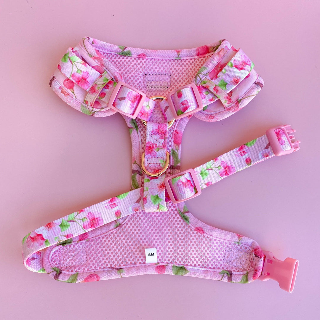 DOG HARNESS | Sweet Sakura | Neck Adjustable Dog Harness-Harness-Dizzy Dog Collars