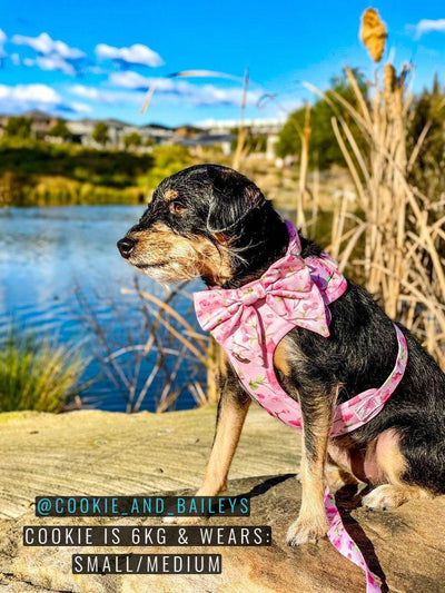 DOG HARNESS | Sweet Sakura | Neck Adjustable Dog Harness-Harness-Dizzy Dog Collars