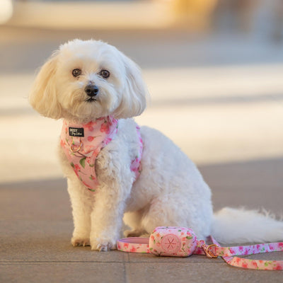 DOG HARNESS | Sweet Sakura | Neck Adjustable Dog Harness-Harness-Dizzy Dog Collars