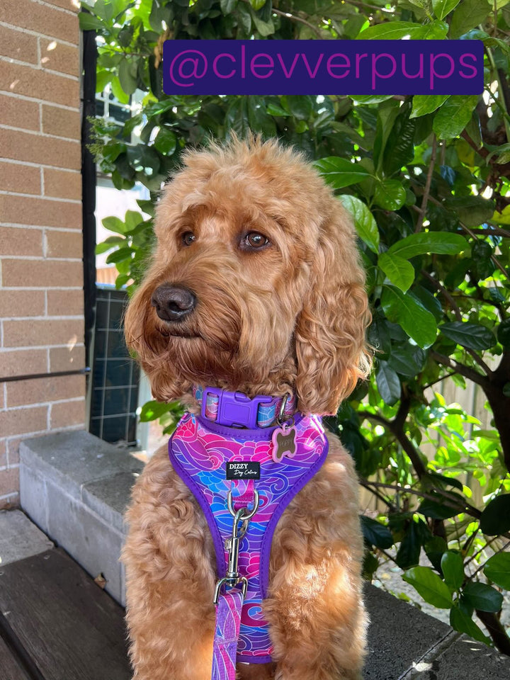 DOG HARNESS | The Maggie | Purple Waves Neck Adjustable Dog Harness-Fabric Harness-Dizzy Dog Collars