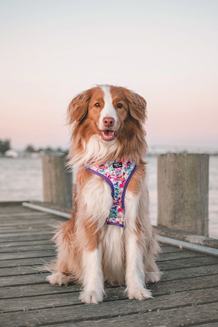 DOG HARNESS | The Willow: Watercolour Floral | Neck Adjustable Dog Harness-Fabric Harness-Dizzy Dog Collars