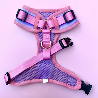 DOG HARNESS | The Momo | Neck Adjustable Dog Harness | Lilac & Pink Dog Harness-Harness-Dizzy Dog Collars