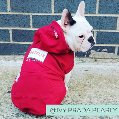 Dog Wearing Red Netflix Original Dog Hoodie