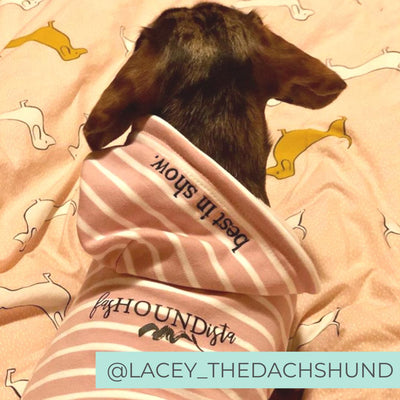 Dog wearing pink best in show comfy dog hoodie in bed