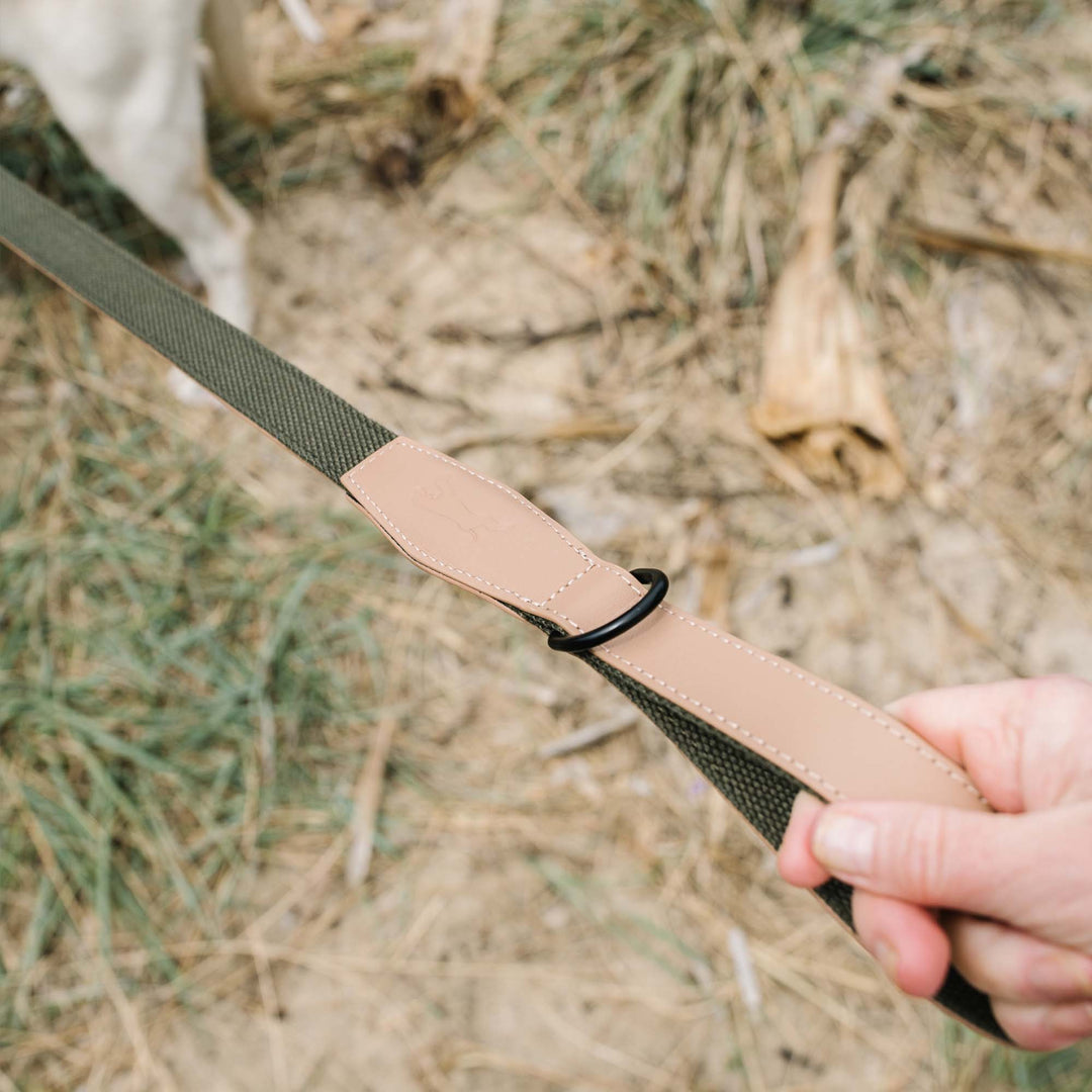 dog lead made with leather - chasing winter