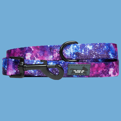 Dog Leash - Galaxy-Leash-Dizzy Dog Collars