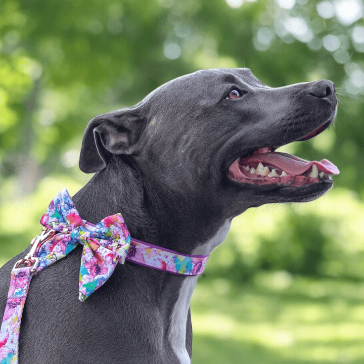 Dog Sailor Bow Tie | The Willow: Watercolour Floral