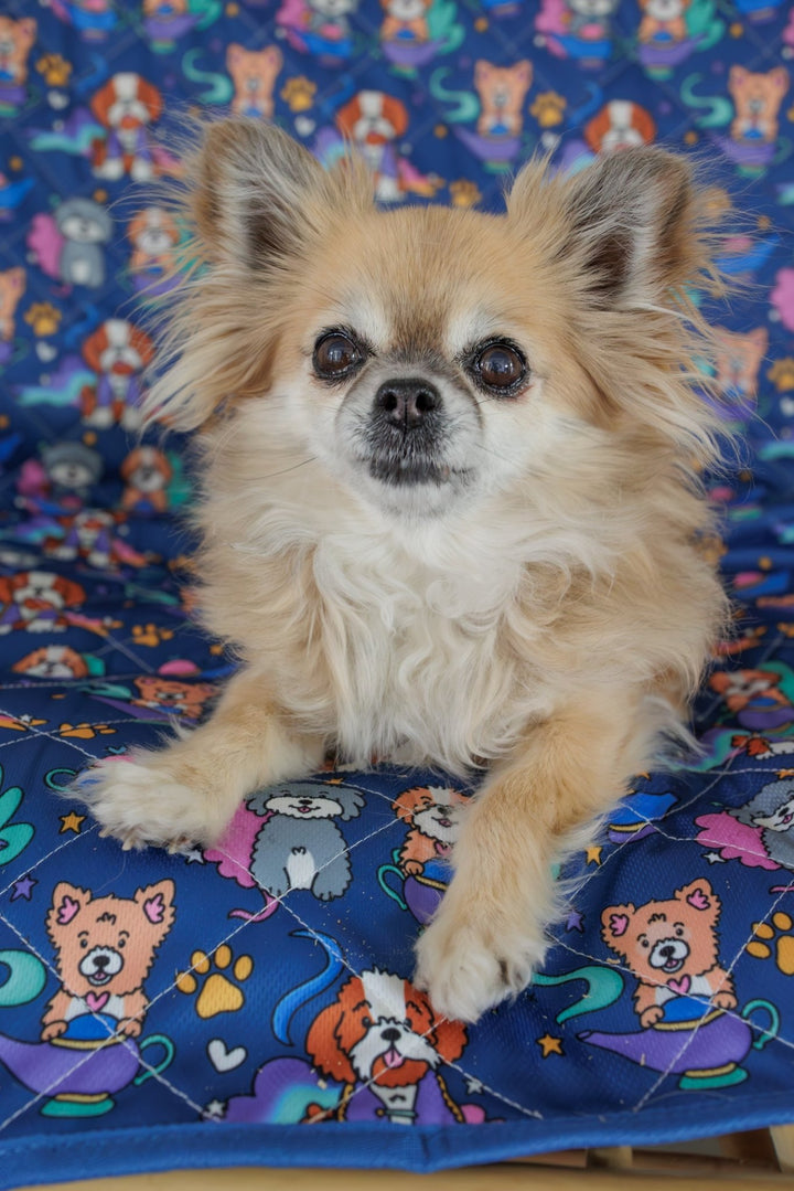 Trolley Mat | Dog Picnic Mat | Wish Upon a Genie