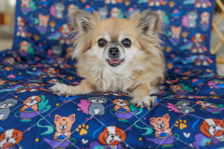 Trolley Mat | Dog Picnic Mat | Wish Upon a Genie