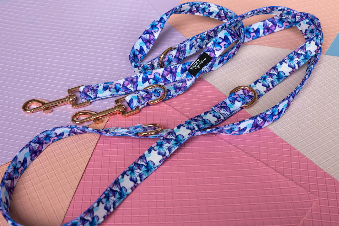 Double Ended Training Lead | Hands-free dog lead | Butterfly Ballet-Dizzy Dog Collars