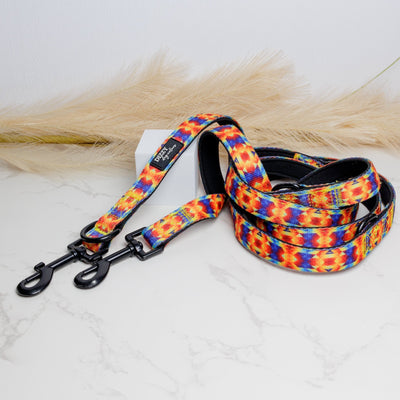 Double Ended Training Lead | Hands-free dog lead | Kaleidoscope-hands free-Dizzy Dog Collars