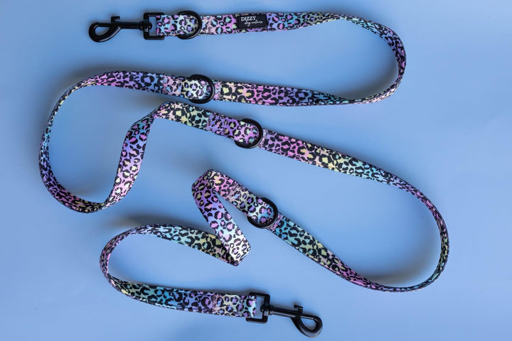 Double Ended Training Lead | Hands-free dog lead | Ombre Leopard-Dizzy Dog Collars