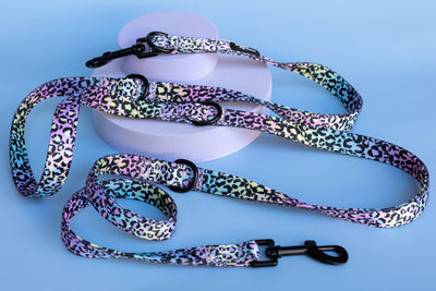 Double Ended Training Lead | Hands-free dog lead | Ombre Leopard-Dizzy Dog Collars