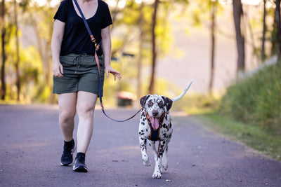 COMING SOON | Double Ended Training Lead | Hands Free - Crossbody Dog Lead | The Coco-hands free-Dizzy Dog Collars