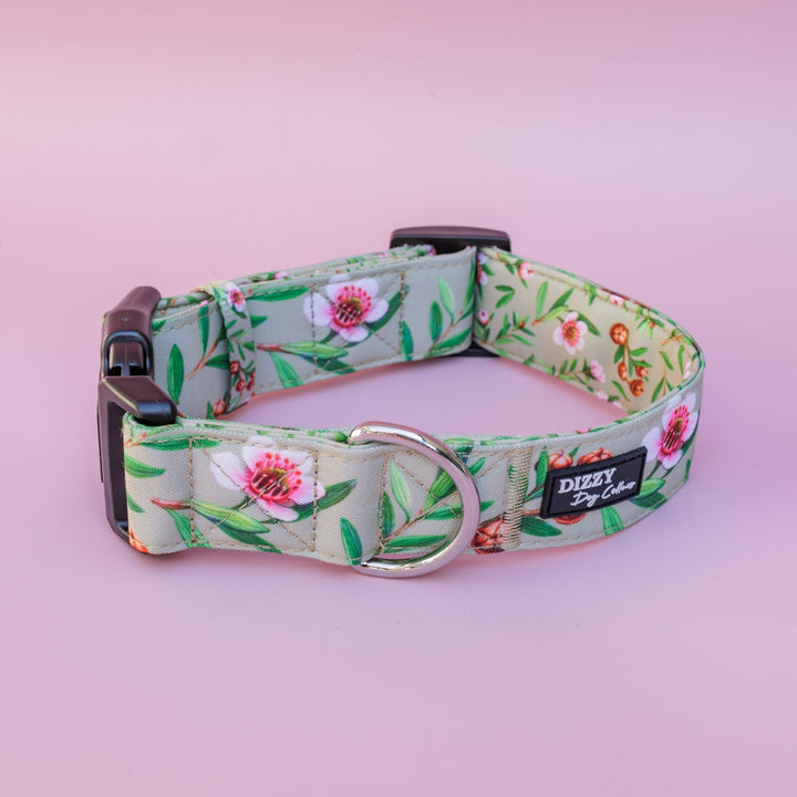 Extra Wide // Manuka Dog Collar | Canvas & Neoprene Dog Collar-Dog Collar-Dizzy Dog Collars