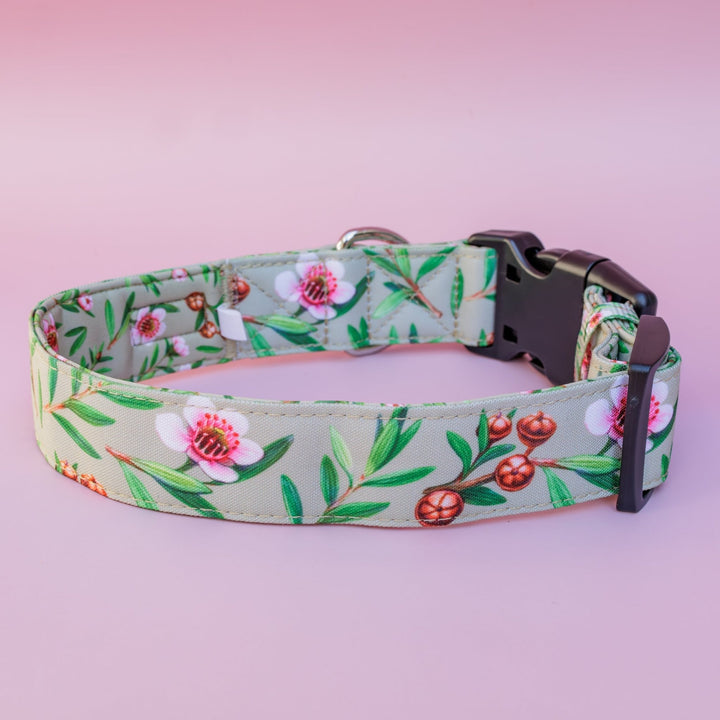 Extra Wide // Manuka Dog Collar | Canvas & Neoprene Dog Collar-Dog Collar-Dizzy Dog Collars