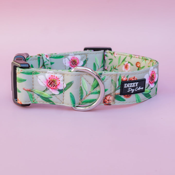 Extra Wide // Manuka Dog Collar | Canvas & Neoprene Dog Collar-Dog Collar-Dizzy Dog Collars