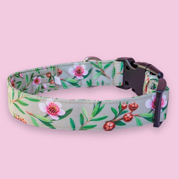 Extra Wide // Manuka Dog Collar | Canvas & Neoprene Dog Collar-Dog Collar-Dizzy Dog Collars