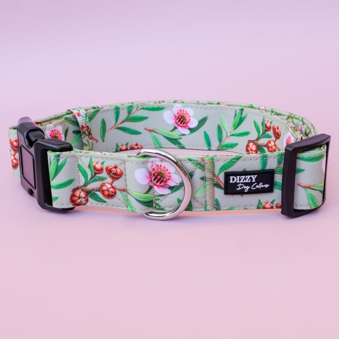 Extra Wide // Manuka Dog Collar | Canvas & Neoprene Dog Collar-Dog Collar-Dizzy Dog Collars