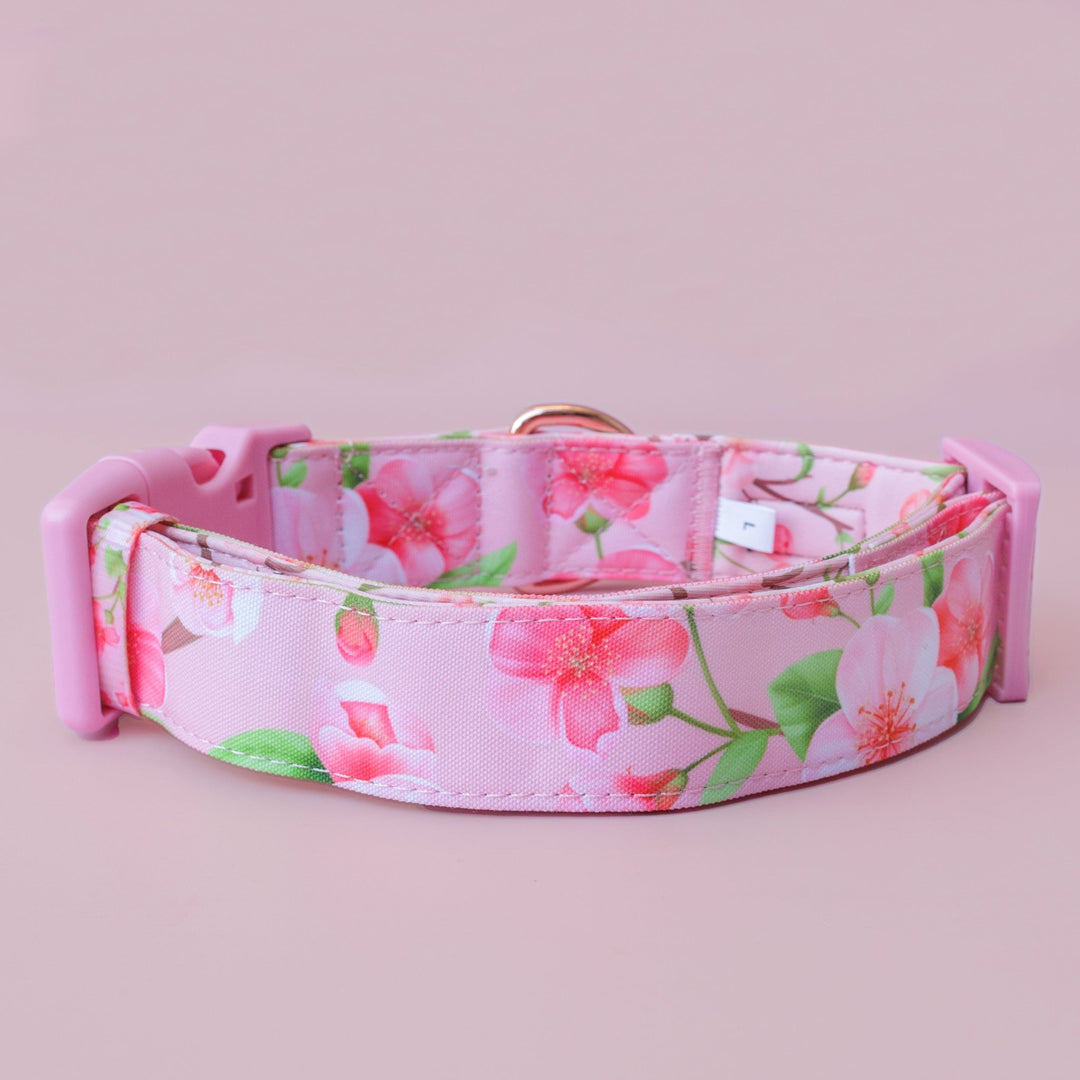 Extra Wide // Sweet Sakura Dog Collar | Canvas & Neoprene Dog Collar-Dog Collar-Dizzy Dog Collars