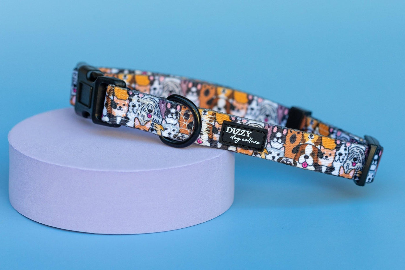 Flash Mob Dog Collar | Value Range Dog Collar-Dog Collar-Dizzy Dog Collars