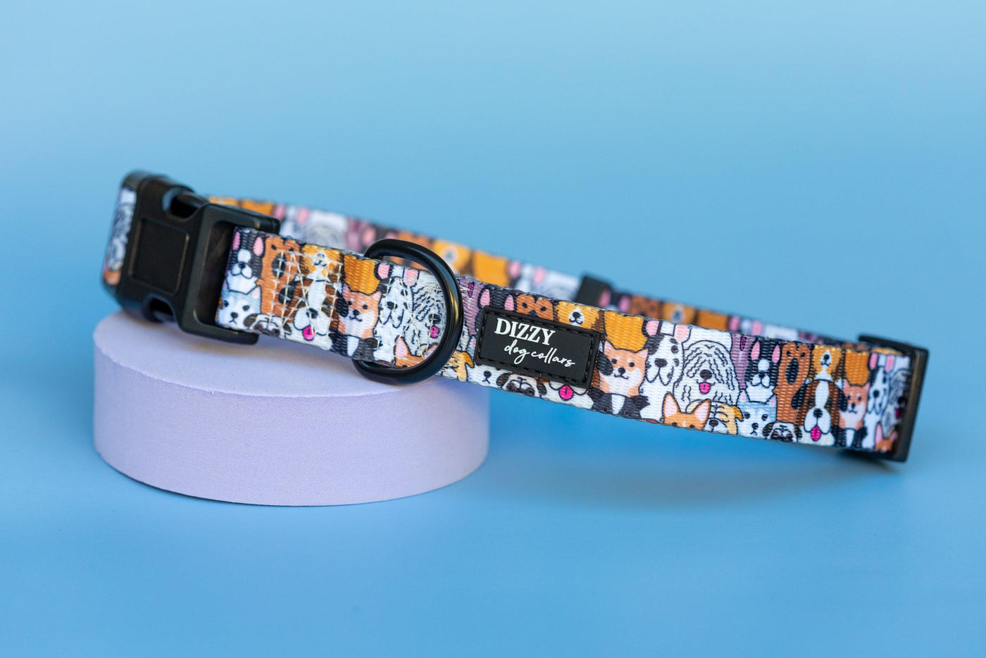 Flash Mob Dog Collar | Value Range Dog Collar-Dog Collar-Dizzy Dog Collars