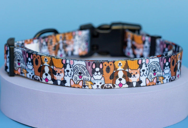 Flash Mob Dog Collar | Value Range Dog Collar-Dog Collar-Dizzy Dog Collars